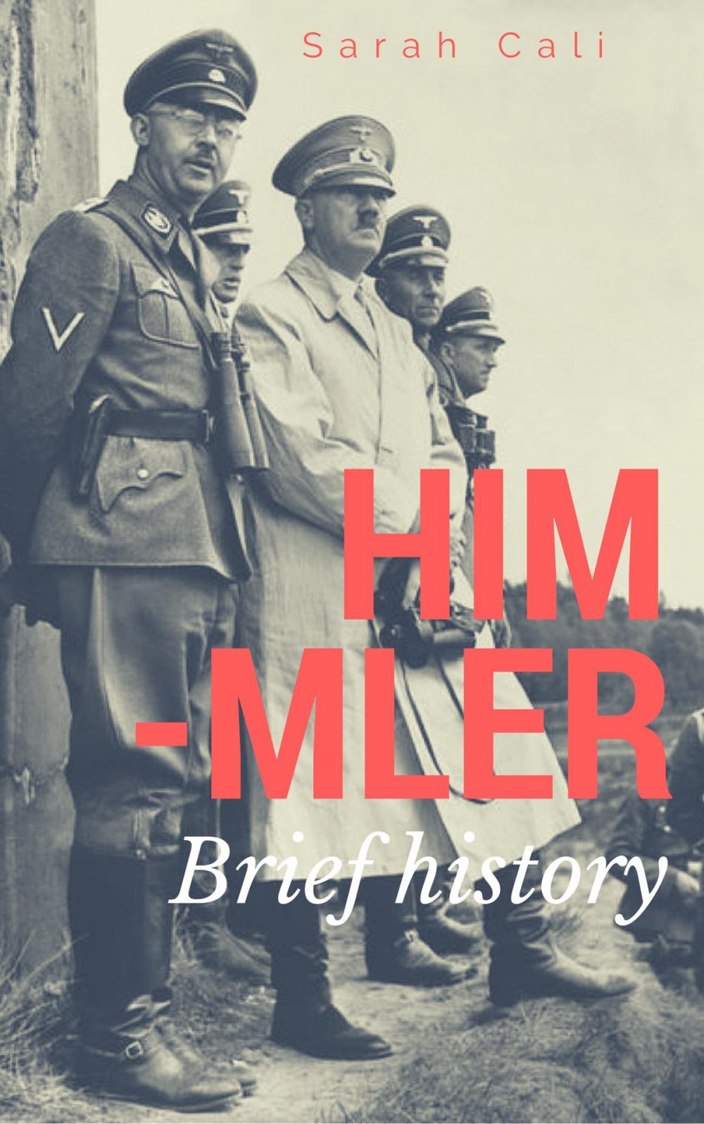 Big bigCover of HEINRICH HIMMLER