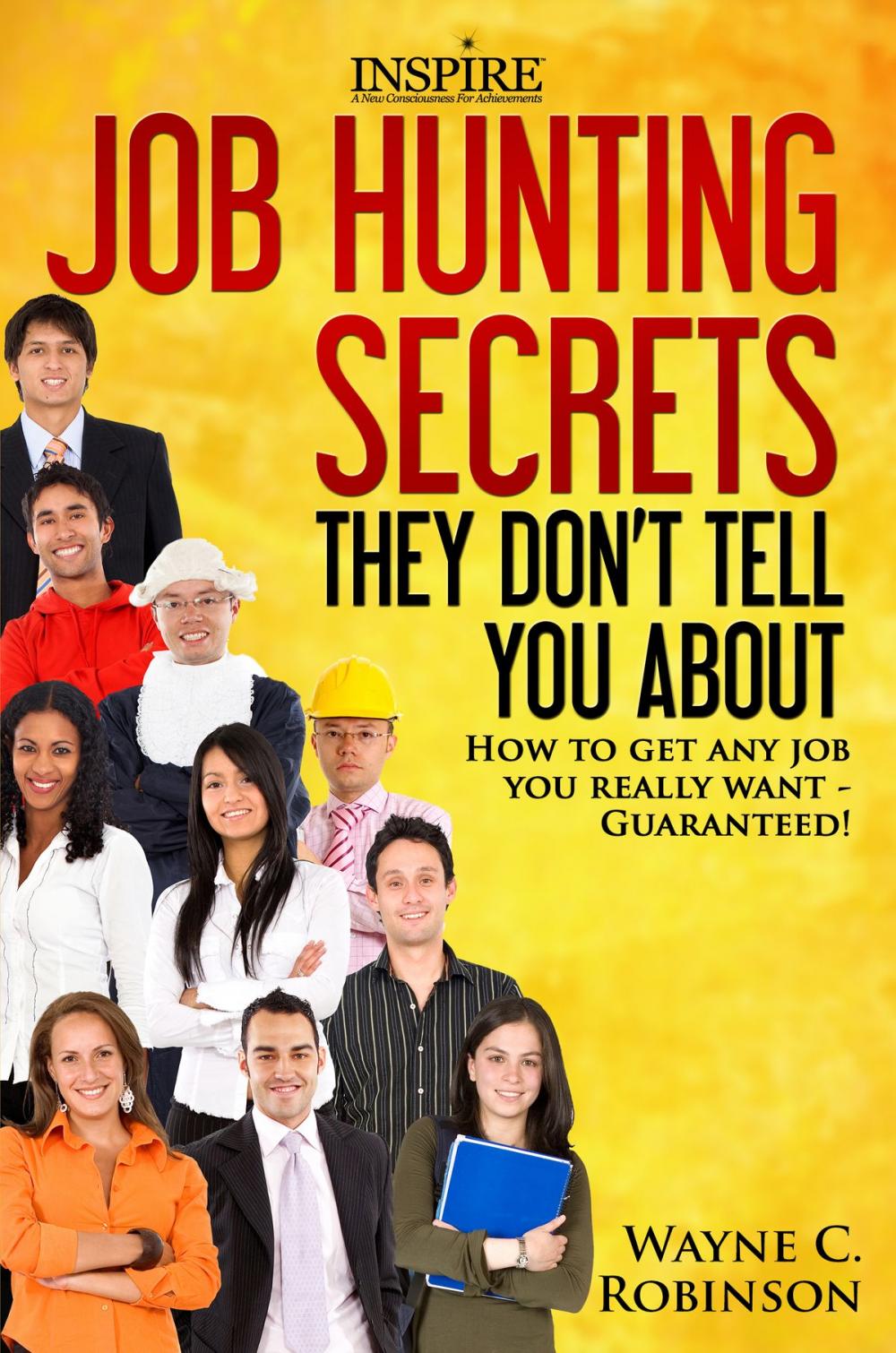 Big bigCover of Job Hunting Secrets They Don't Tell Us About
