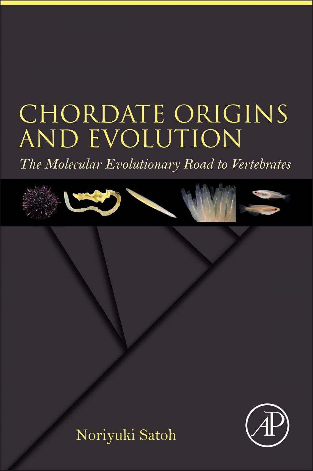 Big bigCover of Chordate Origins and Evolution
