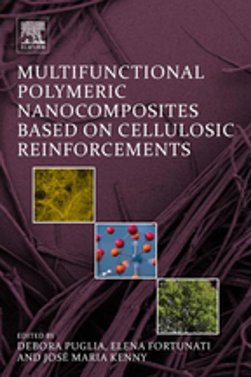 Big bigCover of Multifunctional Polymeric Nanocomposites Based on Cellulosic Reinforcements
