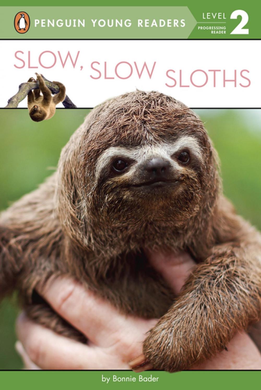 Big bigCover of Slow, Slow Sloths