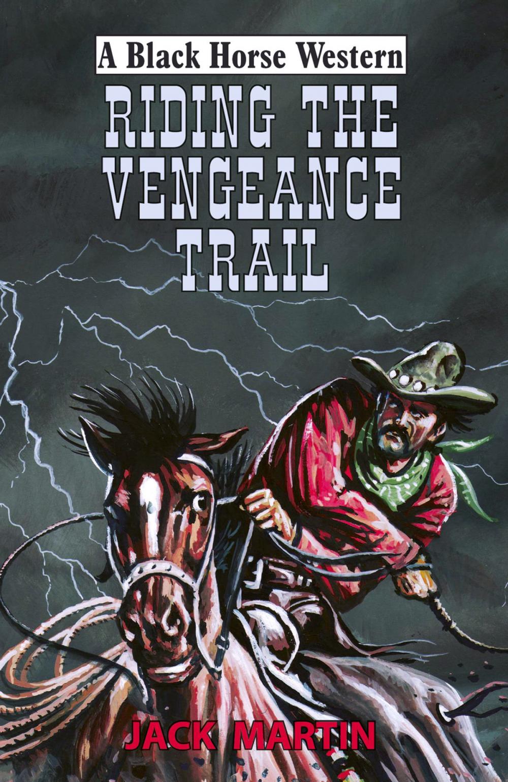 Big bigCover of Riding the Vengeance Trail