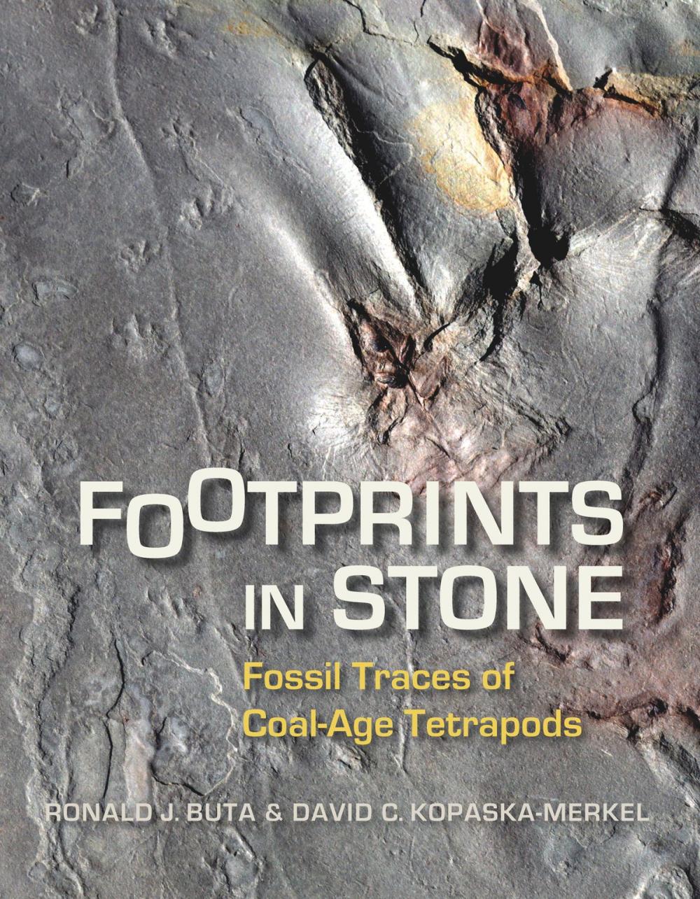 Big bigCover of Footprints in Stone