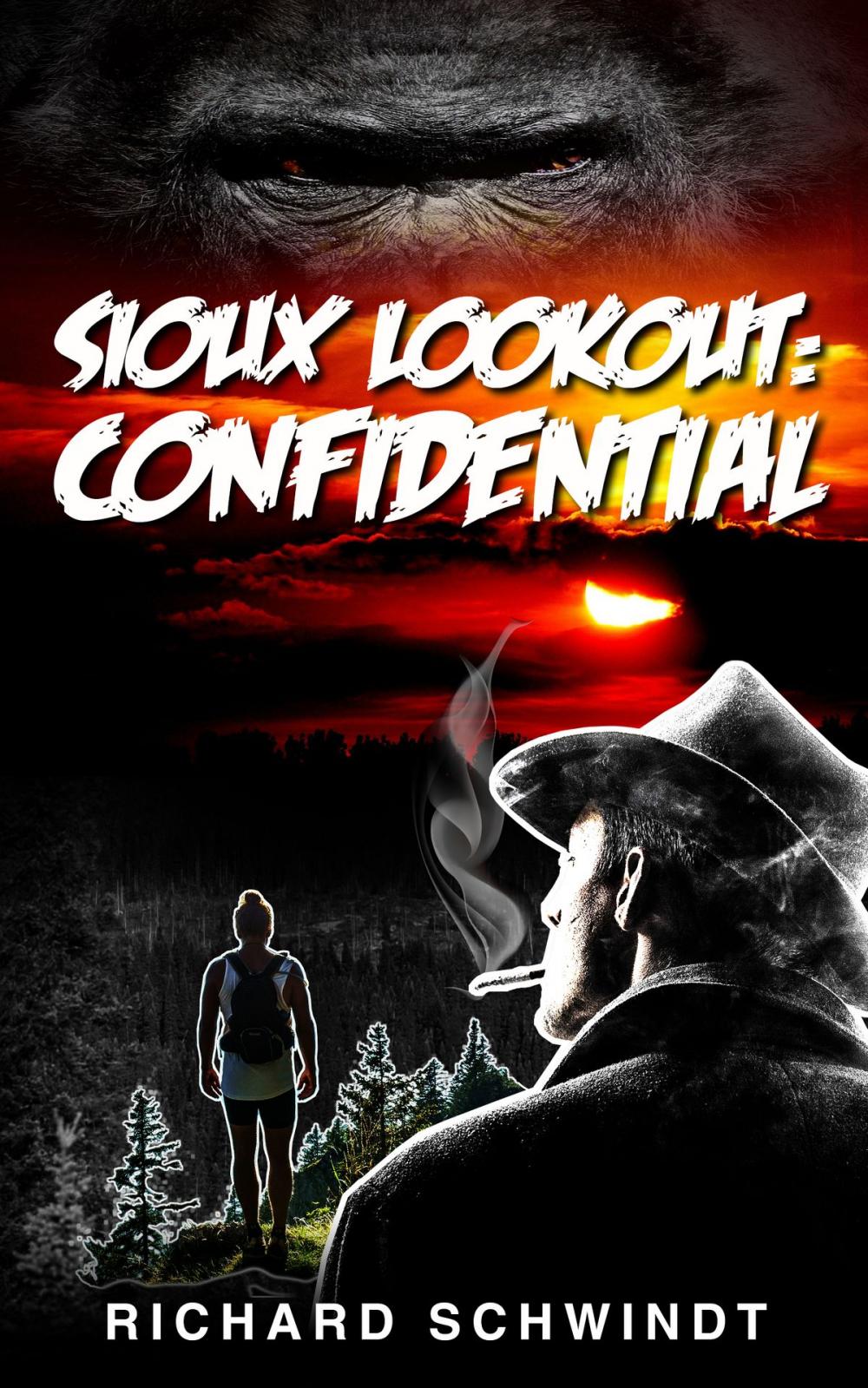 Big bigCover of Sioux Lookout: Confidential