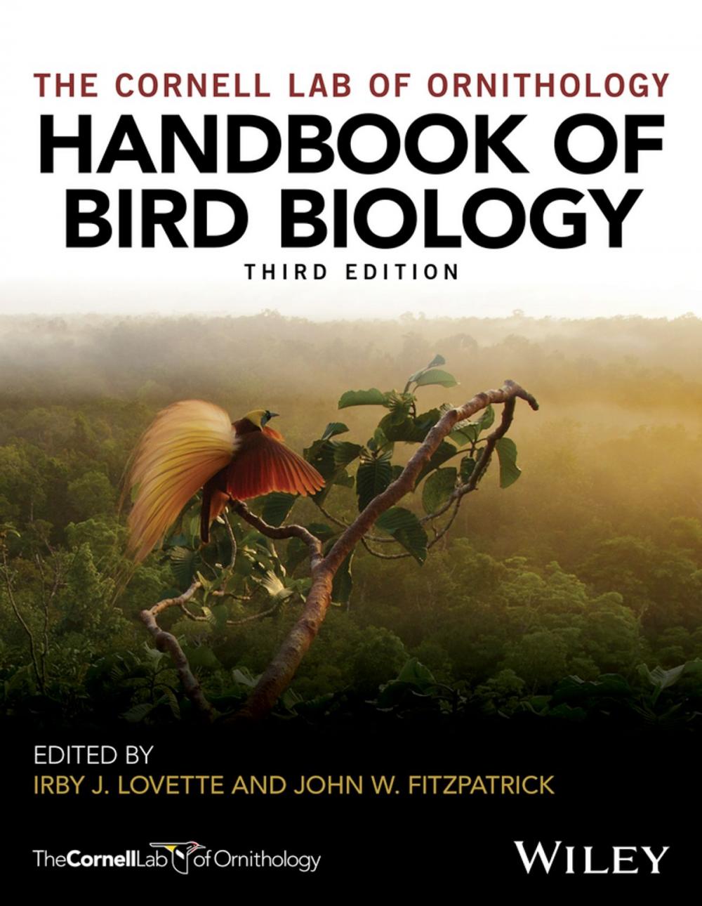 Big bigCover of Handbook of Bird Biology