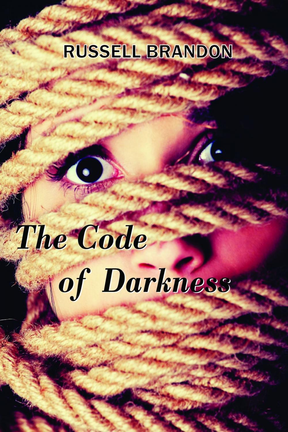 Big bigCover of The Code of Darkness