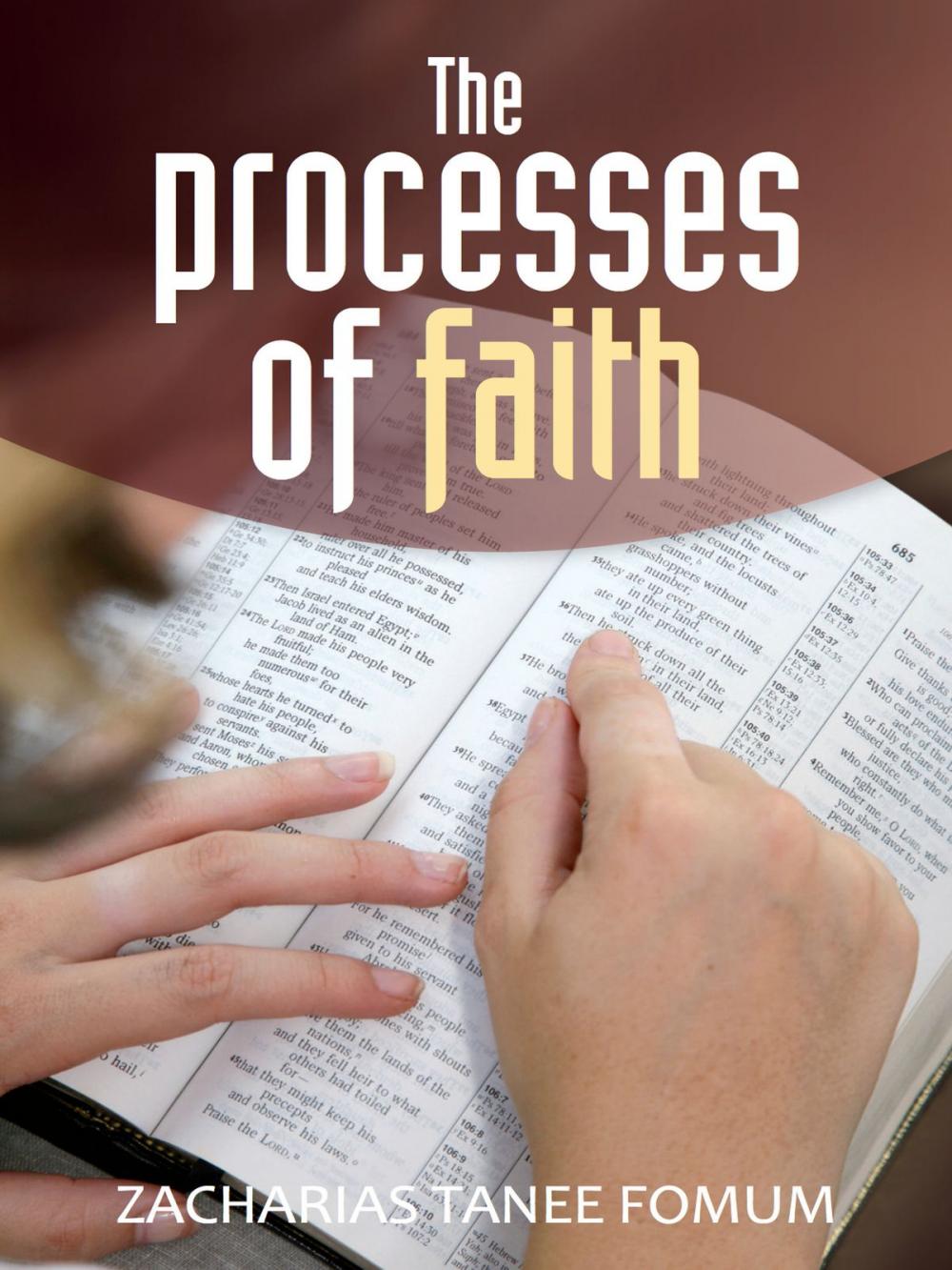 Big bigCover of The Processes of Faith