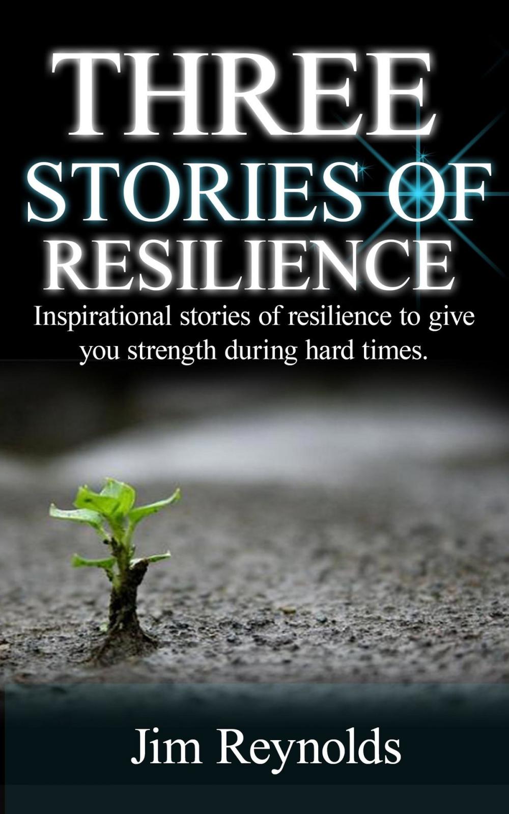 Big bigCover of Three Stories Of Resilience: Inspirational Stories Of Resilience To Give You Strength During Hard Times.