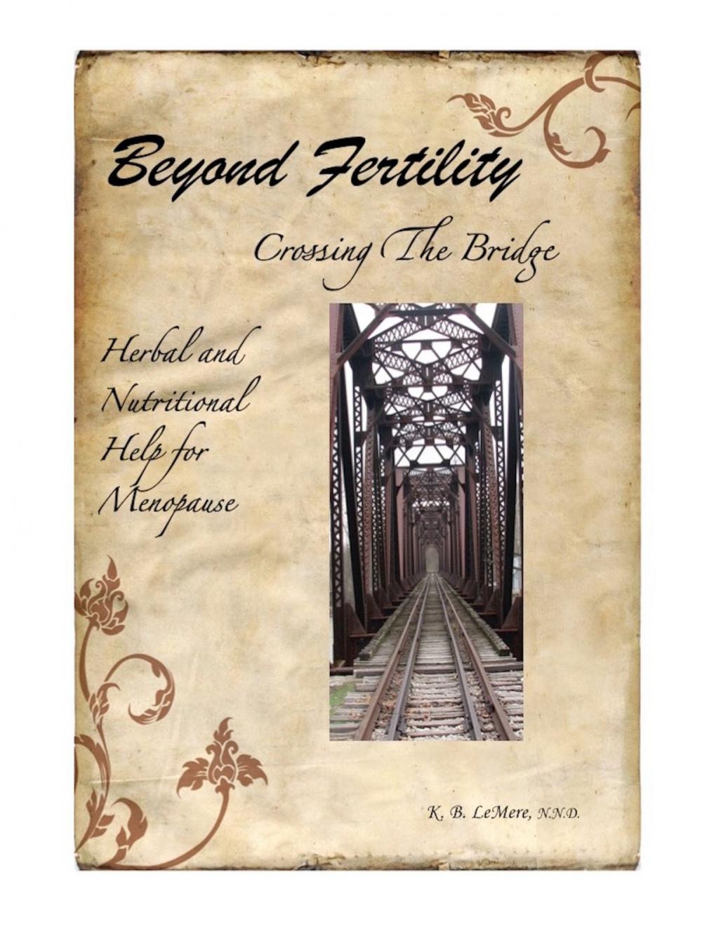 Big bigCover of Beyond Fertility, Crossing the Bridge