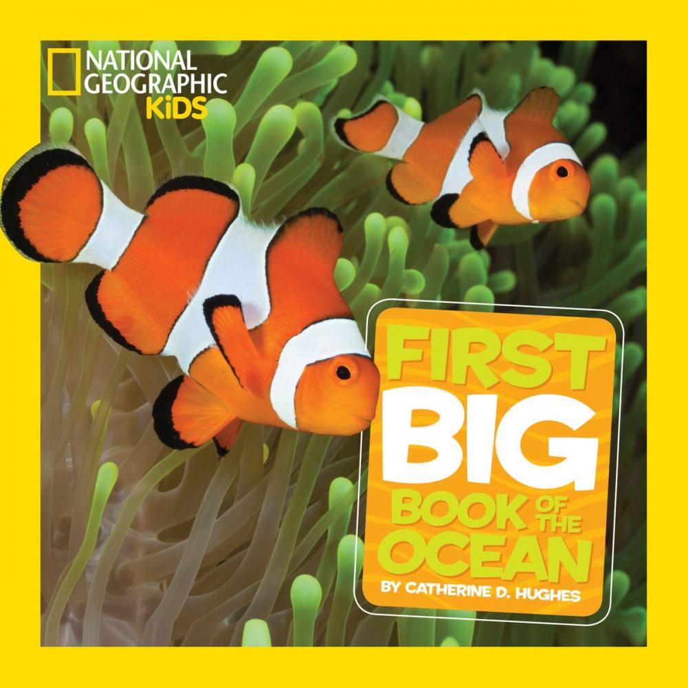 Big bigCover of National Geographic Little Kids First Big Book of the Ocean