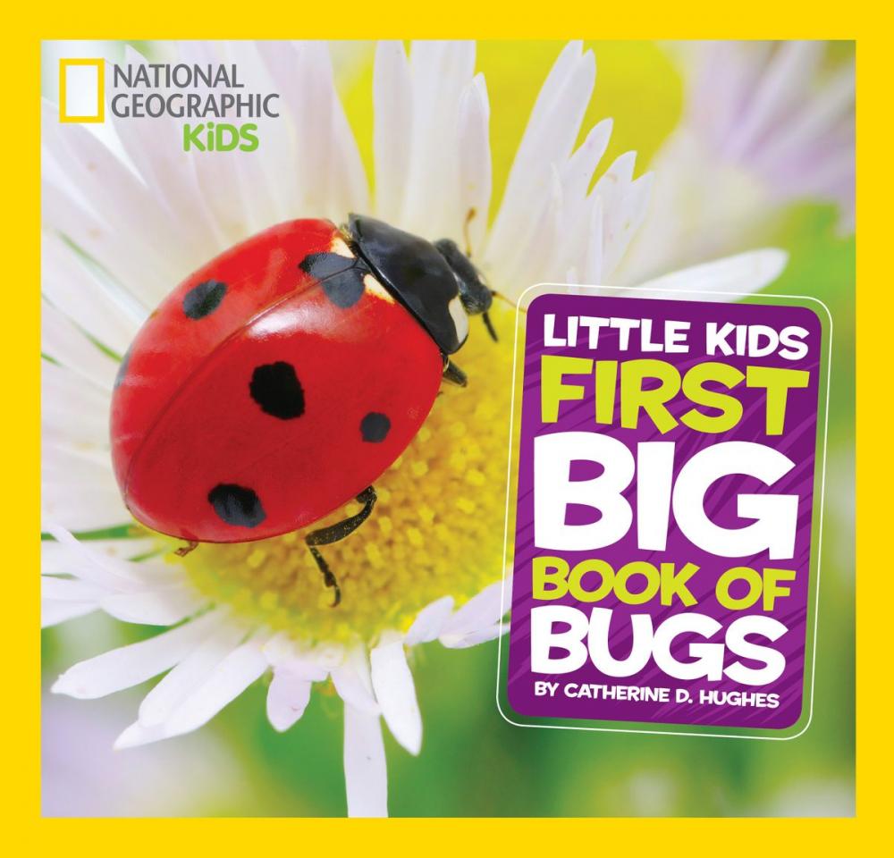 Big bigCover of National Geographic Little Kids First Big Book of Bugs