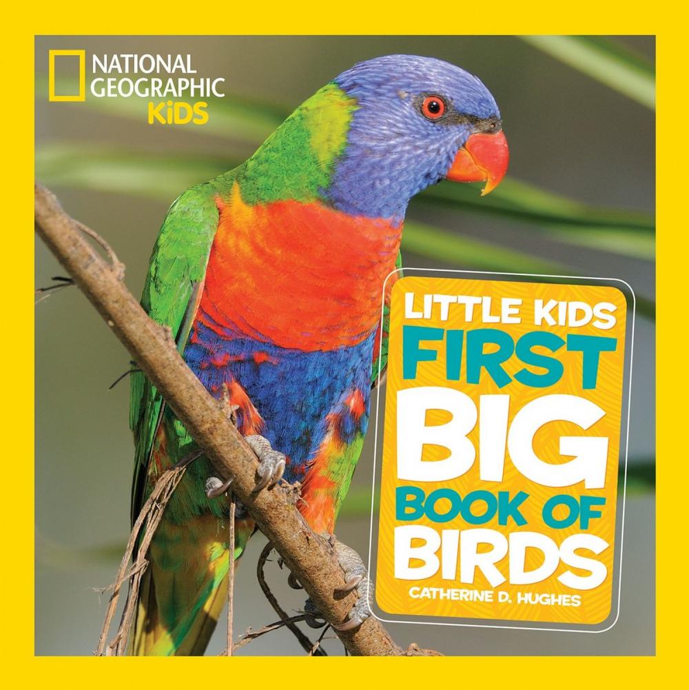 Big bigCover of National Geographic Little Kids First Big Book of Birds