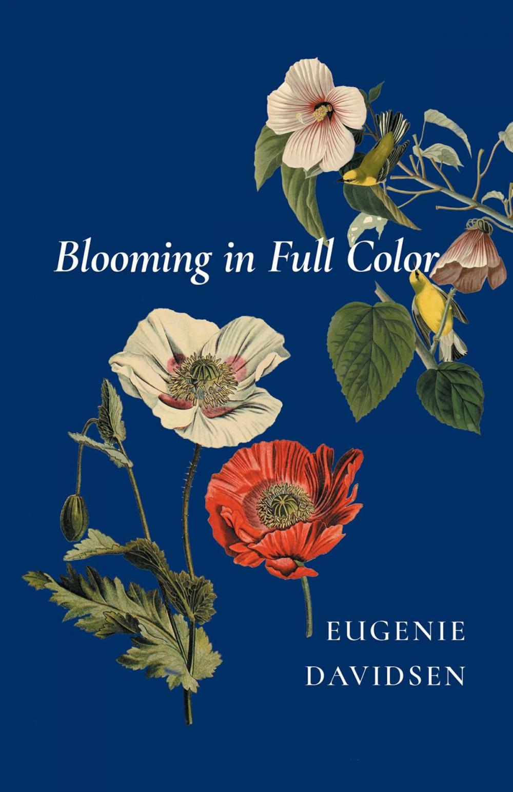 Big bigCover of Blooming in Full Color