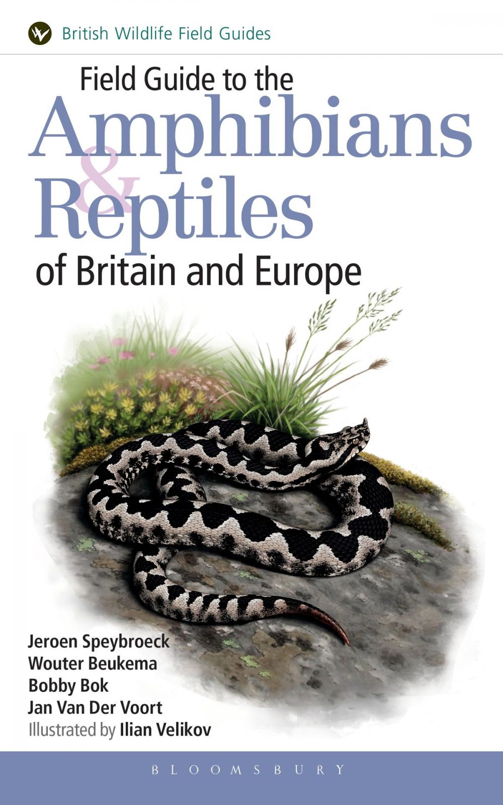 Big bigCover of Field Guide to the Amphibians and Reptiles of Britain and Europe