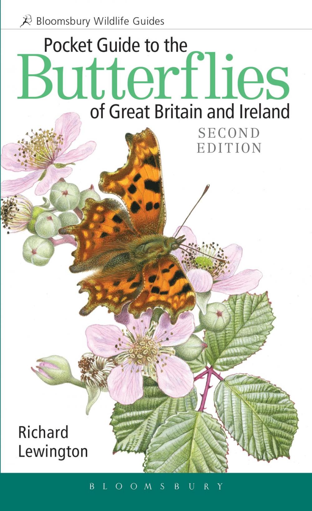 Big bigCover of Pocket Guide to the Butterflies of Great Britain and Ireland