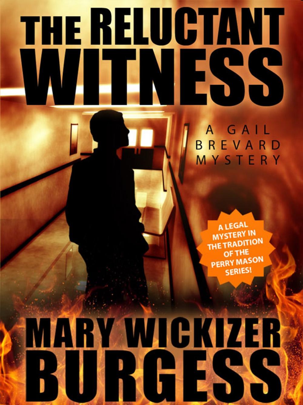 Big bigCover of The Reluctant Witness: A Gail Brevard Mystery