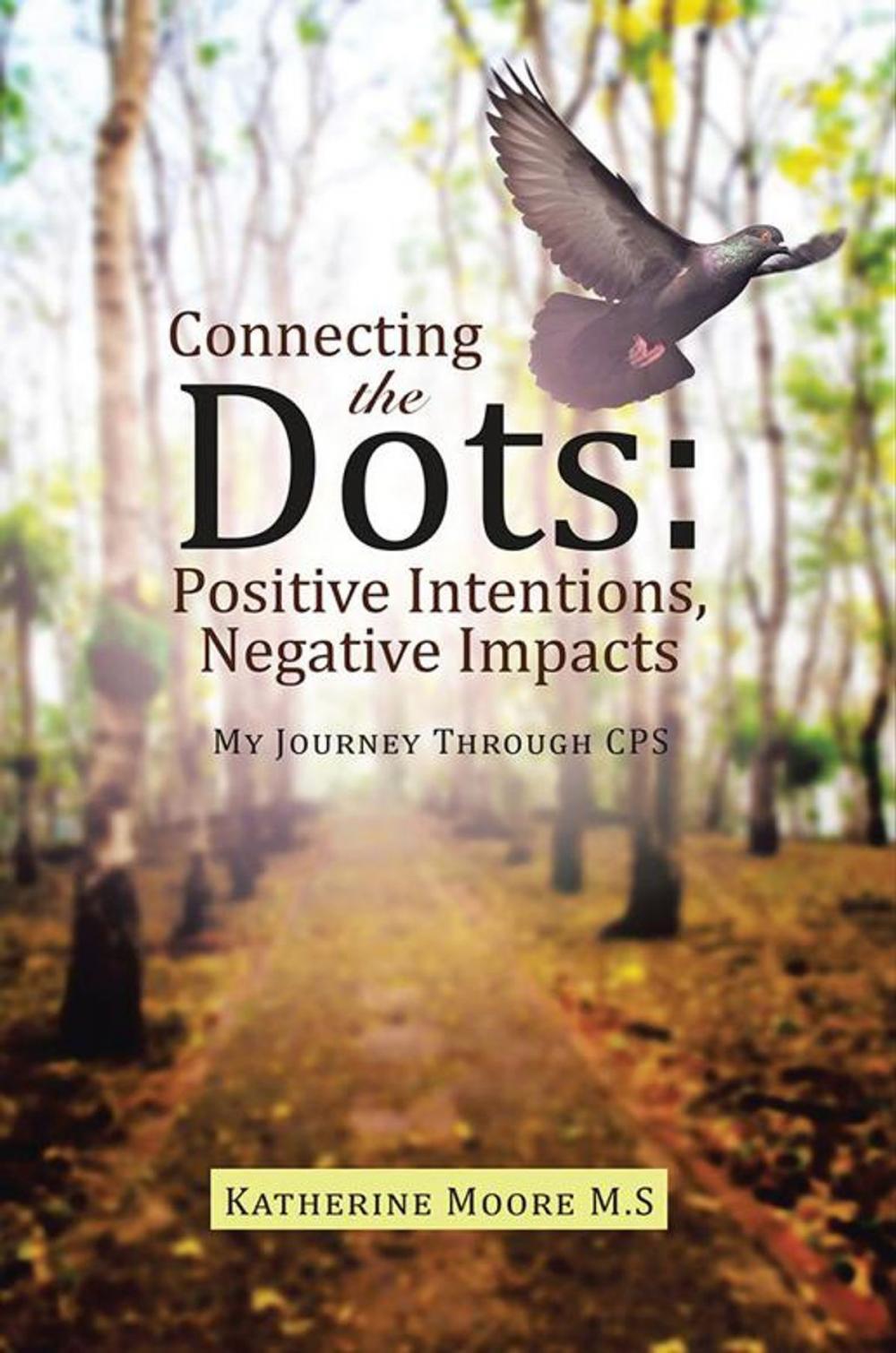 Big bigCover of Connecting the Dots: Positive Intentions, Negative Impacts
