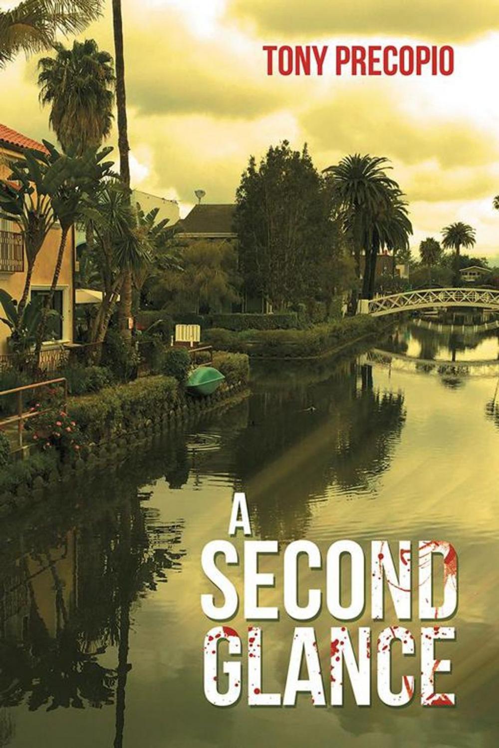 Big bigCover of A Second Glance