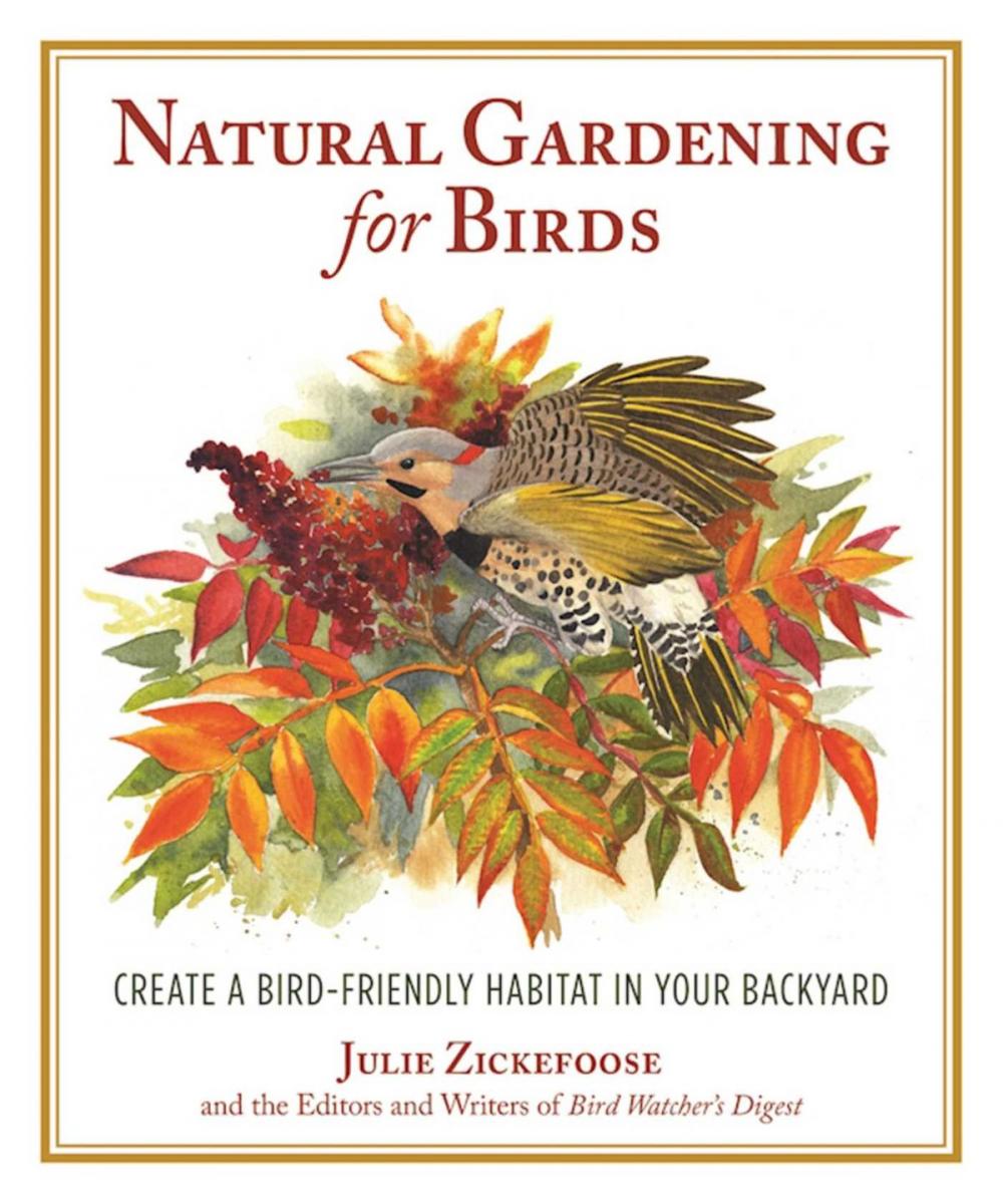Big bigCover of Natural Gardening for Birds
