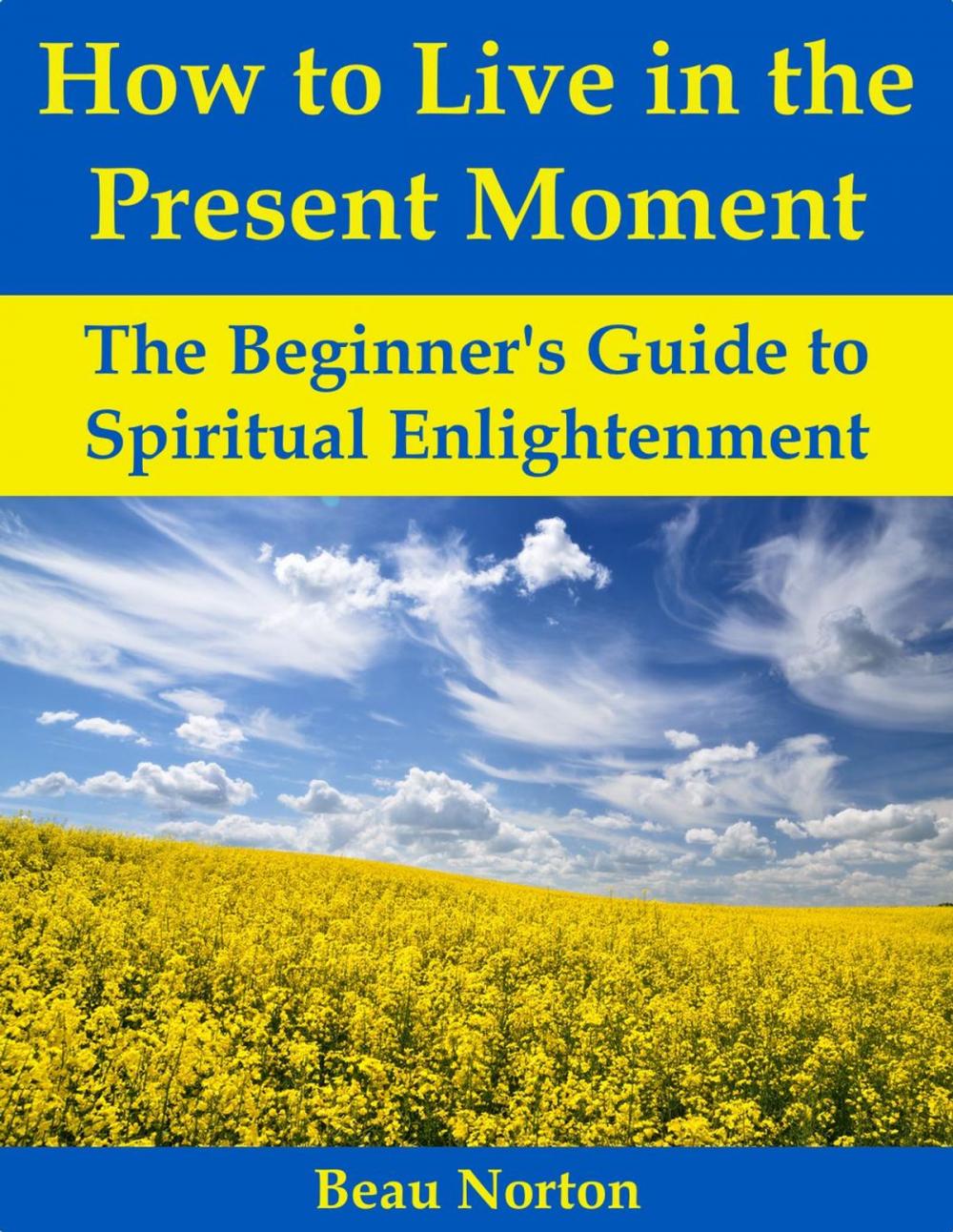 Big bigCover of How to Live in the Present Moment: The Beginner's Guide to Spiritual Enlightenment