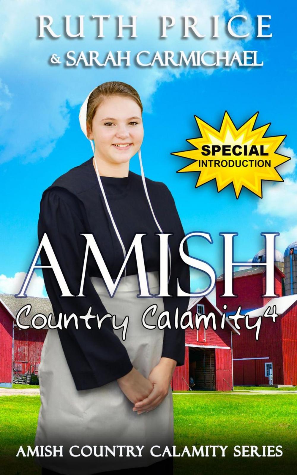 Big bigCover of An Amish Country Calamity 4