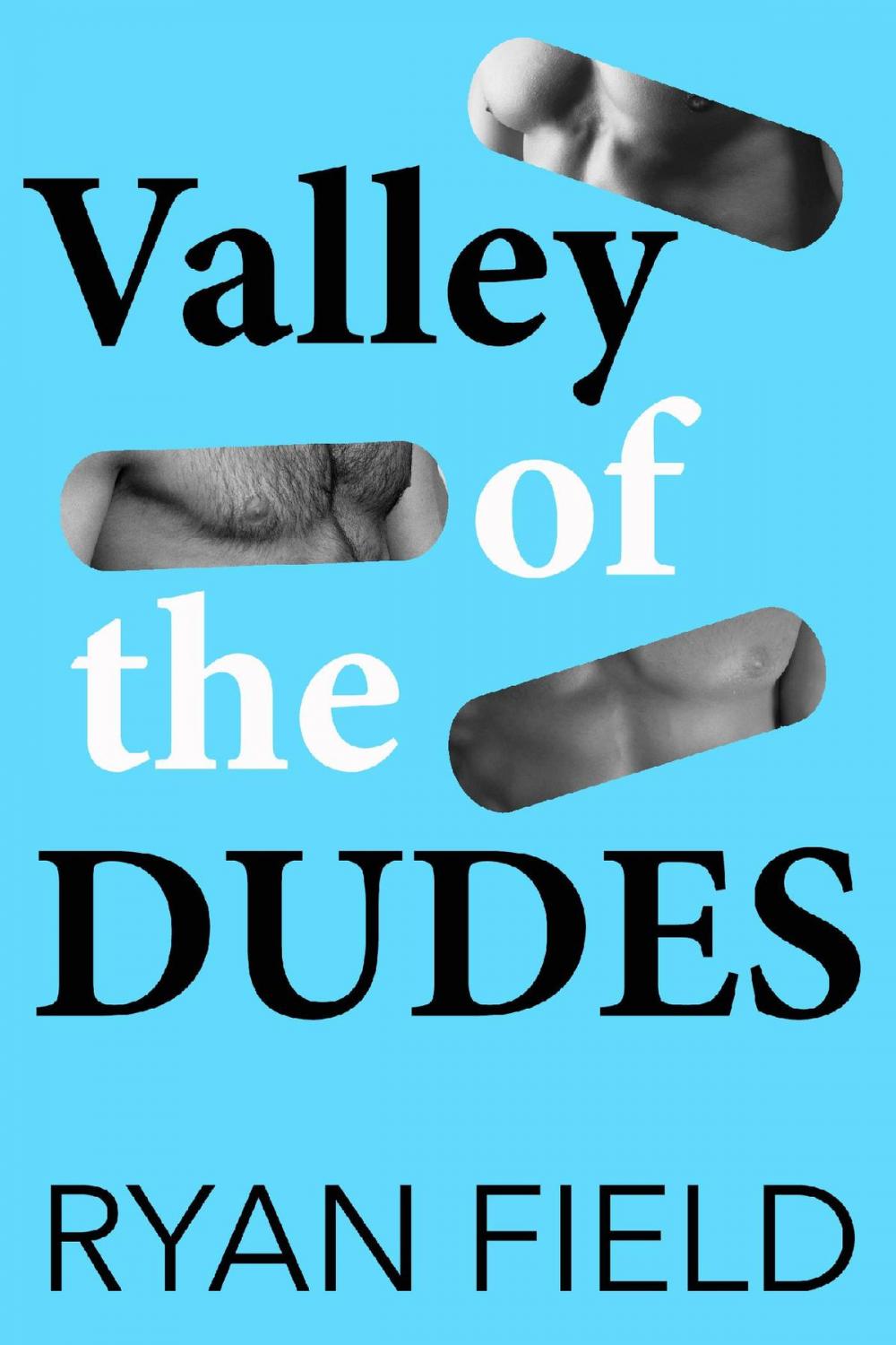 Big bigCover of Valley of the Dudes