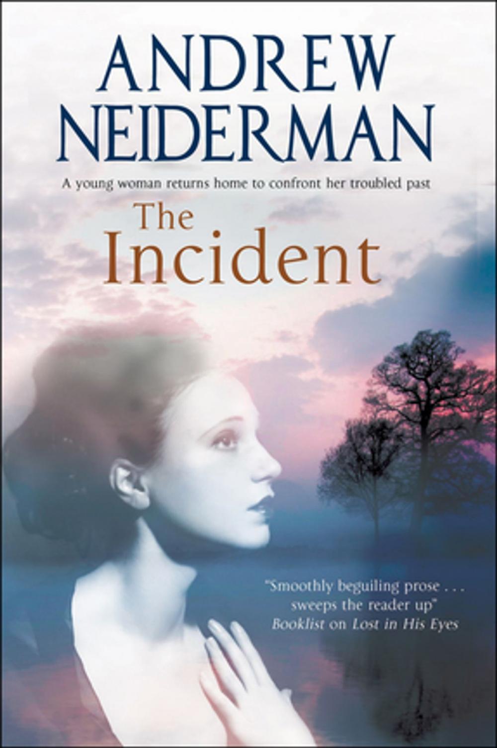 Big bigCover of The Incident