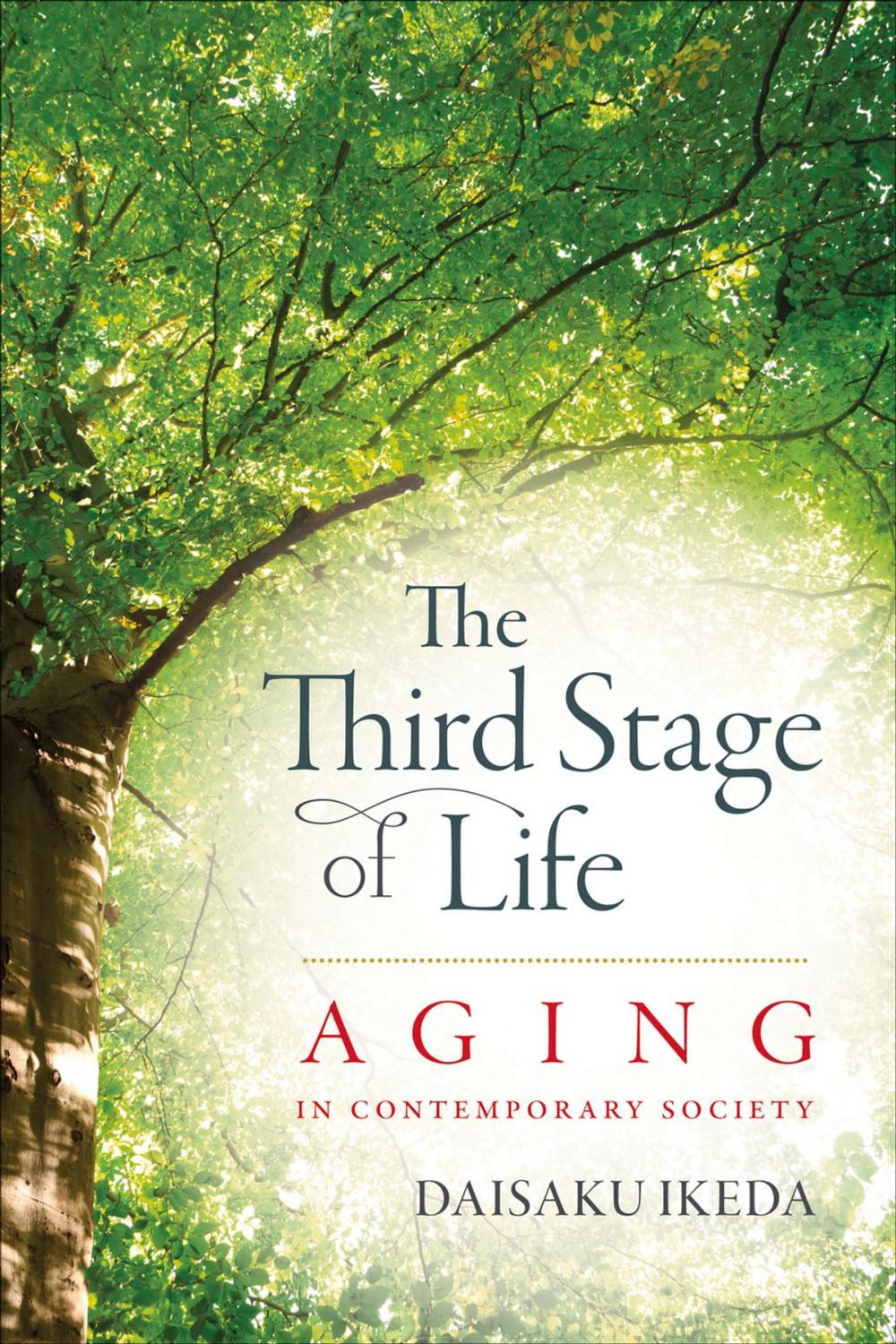 Big bigCover of Third Stage of Life