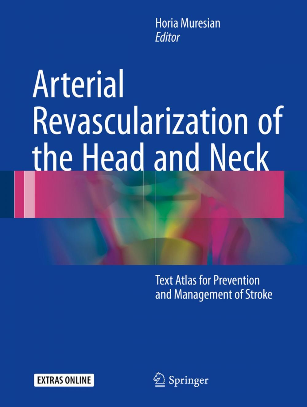 Big bigCover of Arterial Revascularization of the Head and Neck