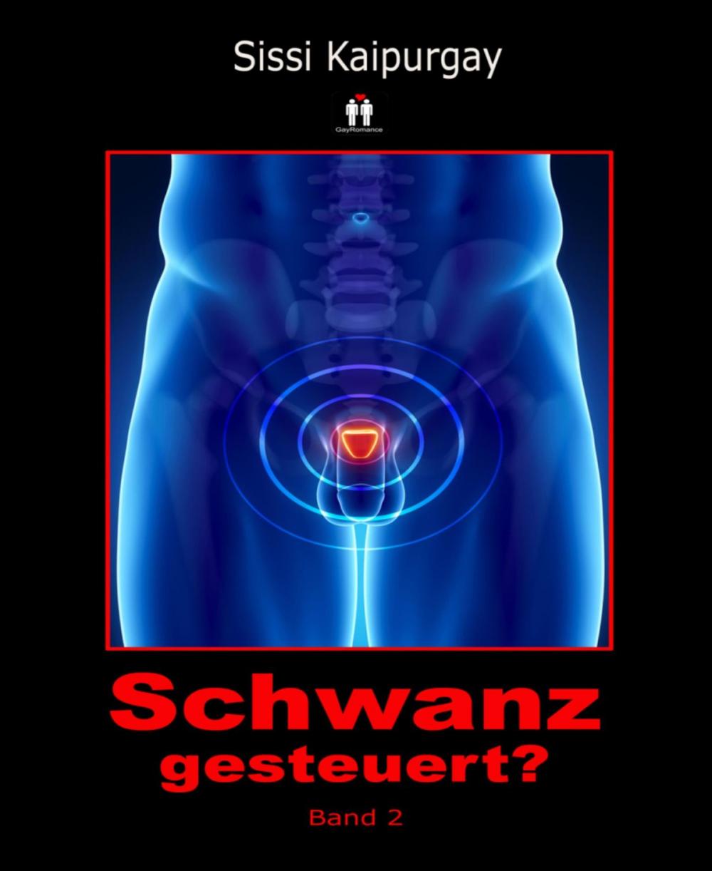 Big bigCover of Schwanzgesteuert? Band 2