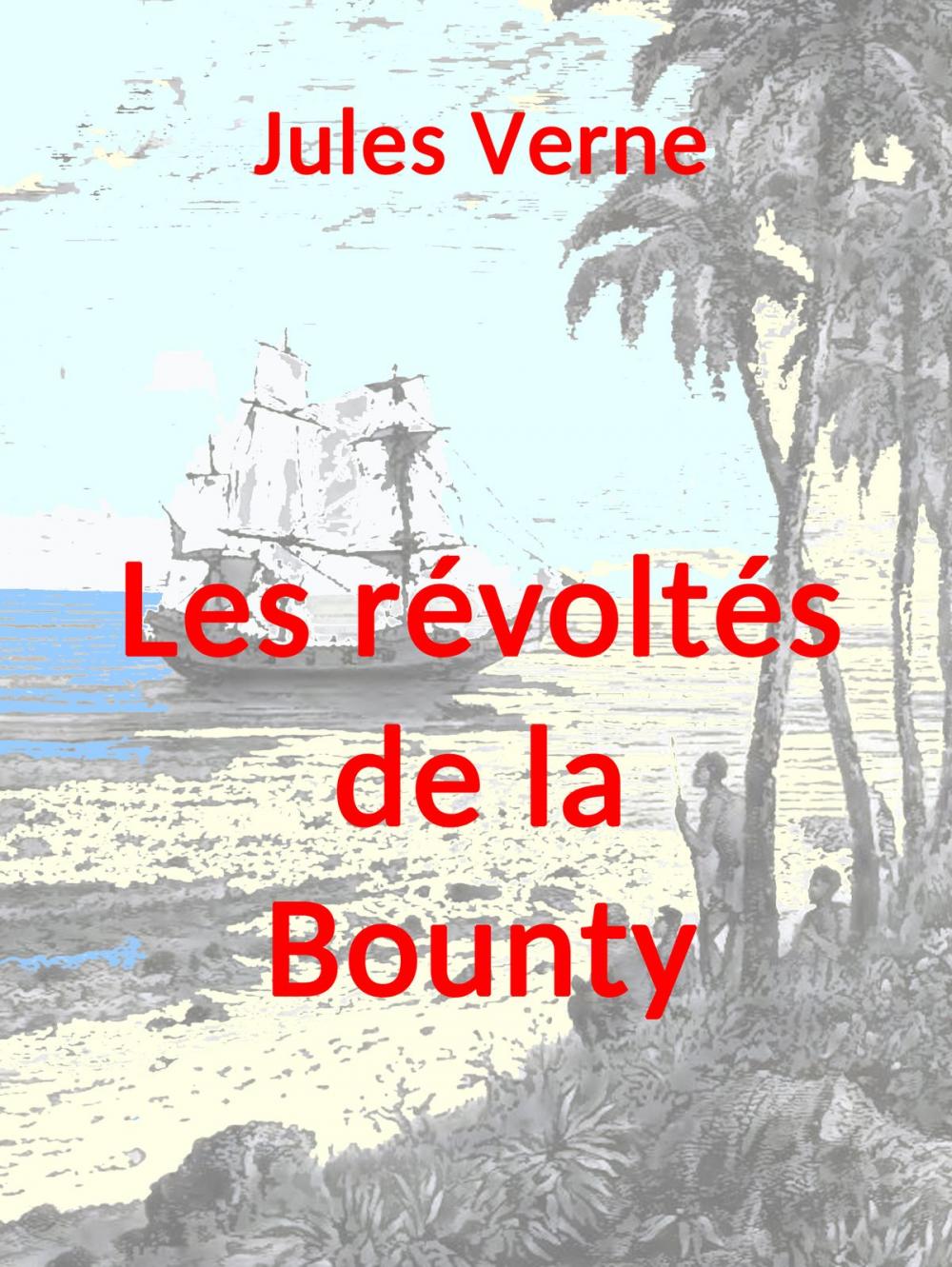 Big bigCover of Les révoltés de la Bounty