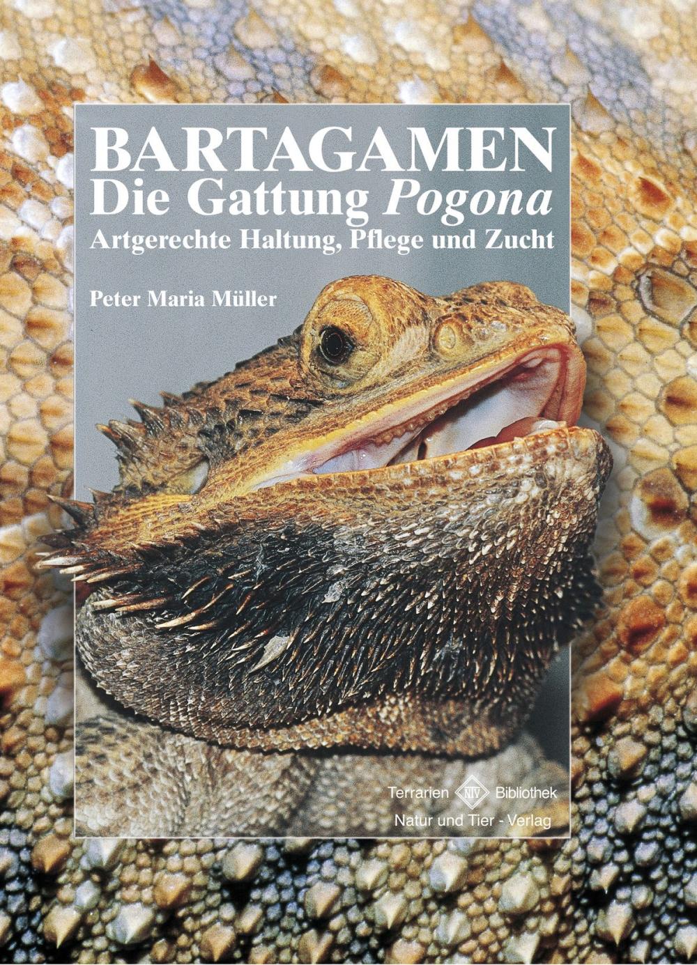 Big bigCover of Bartagamen - Die Gattung Pogona