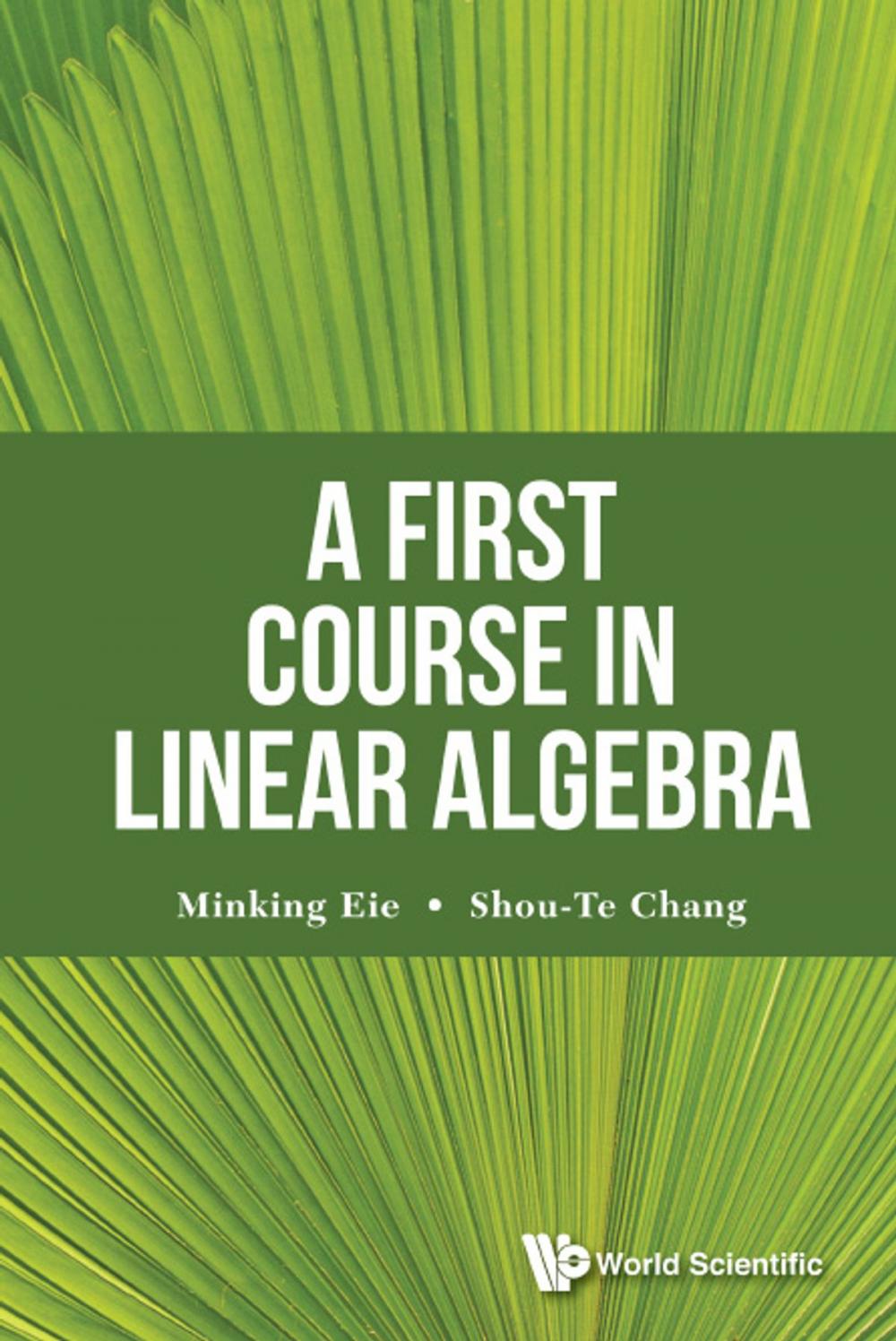 Big bigCover of A First Course in Linear Algebra