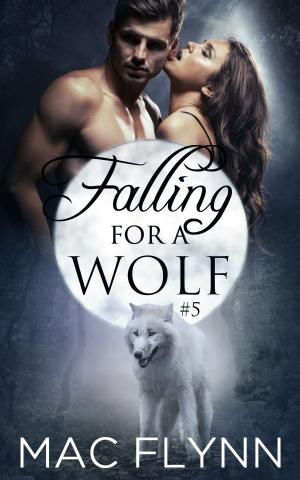 Cover of the book Falling For A Wolf #5 by Lily Silver