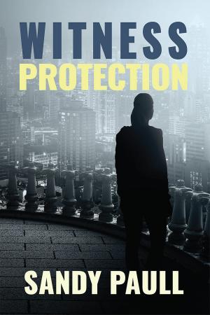 Book cover of Witness Protection