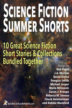 Cover of the book Science Fiction Summer Shorts by Chandra Fry, Lilly Rayman, J.K Younger