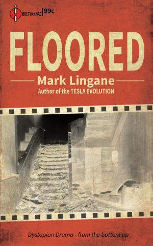 Cover of the book Floored by Jessica McDougald