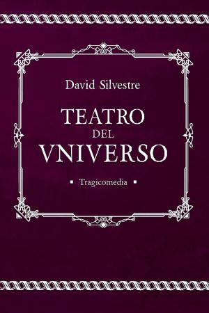 Book cover of Teatro del Universo