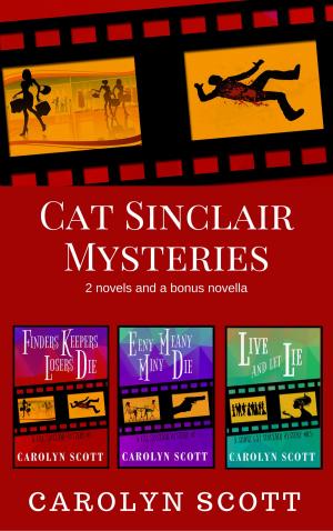 Cover of the book Cat Sinclair Mysteries by Delores Fossen