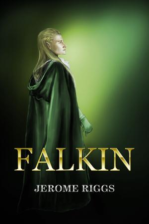 Cover of the book Falkin by Derek Jones