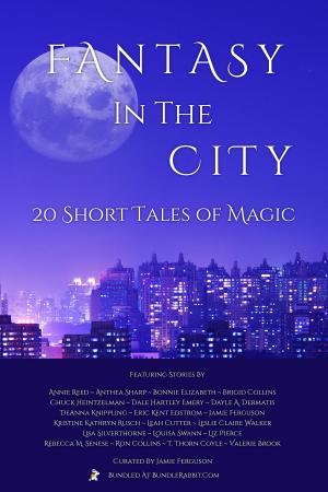 Cover of the book Fantasy in the City by Mary C. Blowers, Leah Cutter, Blaze Ward, Douglas Smith, Prasenjeet Kumar