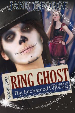 Cover of the book Ring Ghost by Frank Wacholtz