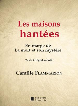 Book cover of Les maisons hantées