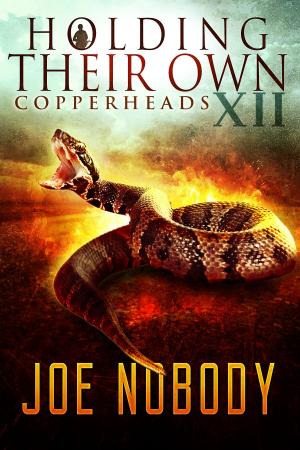 Cover of the book Holding Their Own XII by Joe Nobody, P.A. Troit