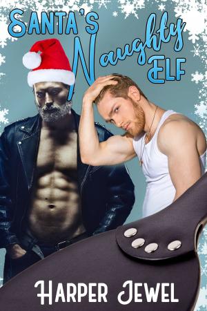 Cover of the book Santa's Naughty Elf by Evangeline Fox