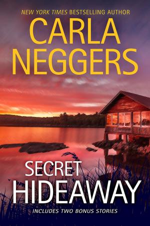 Cover of the book Secret Hideaway by Phil Harvey