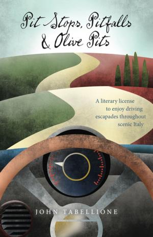 Cover of the book Pit Stops, Pitfalls and Olive Pits by Helen Ellis