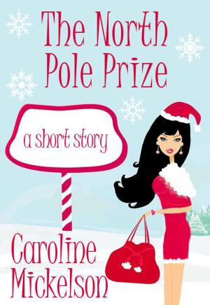 bigCover of the book The North Pole Prize by 