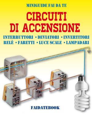 Cover of the book Circuiti di accensione by Bruno Guillou, Nicolas Sallavuard, François Roebben, Nicolas Vidal