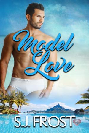 Cover of the book Model Love by A.J. Llewellyn, D.J. Manly